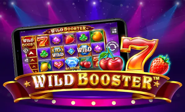 Wild Booster game artwork