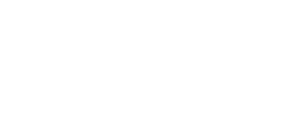 Red Tiger logo