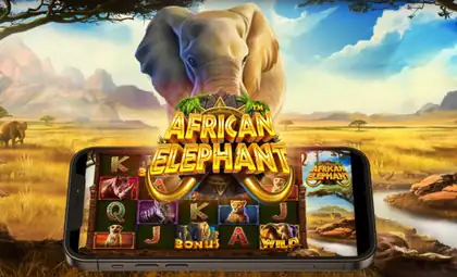 African Elephant official Pragmatic Play artwork