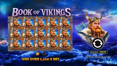 Book of Vikings slot artwork
